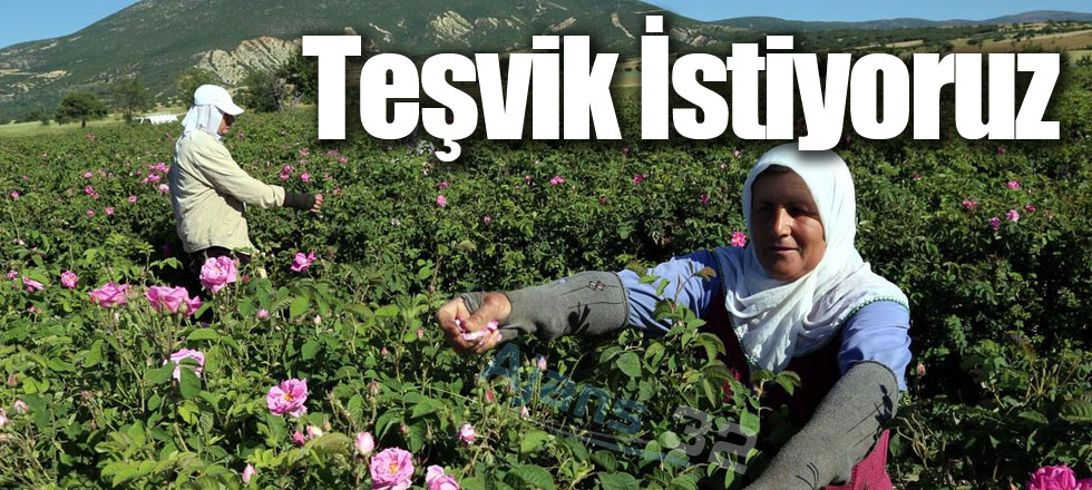 Teşvik İstiyoruz