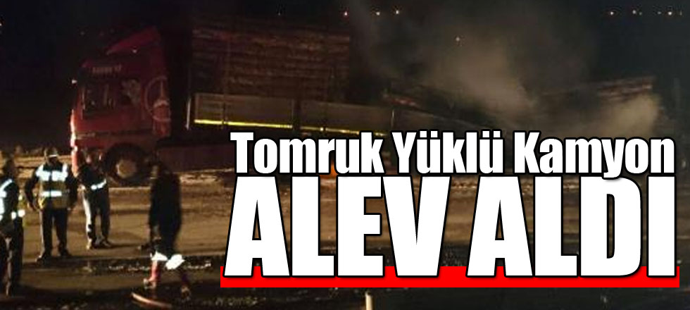 Tomruk Yüklü Kamyon Alev Aldı