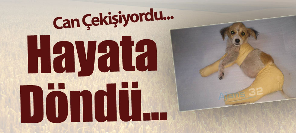Can Çekişiyordu...
