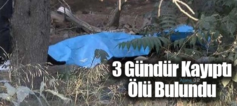 3 Gündür Kayıptı Ölü Bulundu