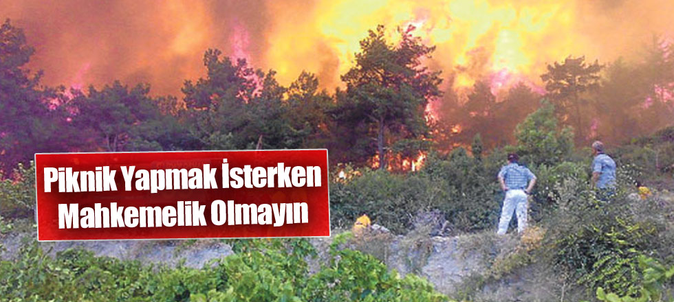 Piknik Yapmak İsterken Mahkemelik Olmayın