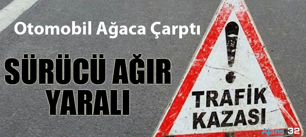 Trafik Kazası: 1 Ağır Yaralı