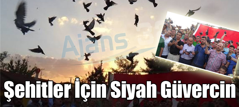 Şehitler İçin Siyah Güvercin