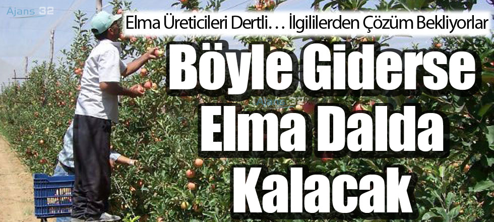 Böyle Giderse Elma Dalda Kalacak