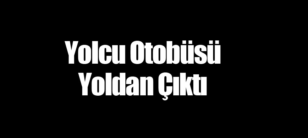 Yolcu Otobüsü Yoldan Çıktı