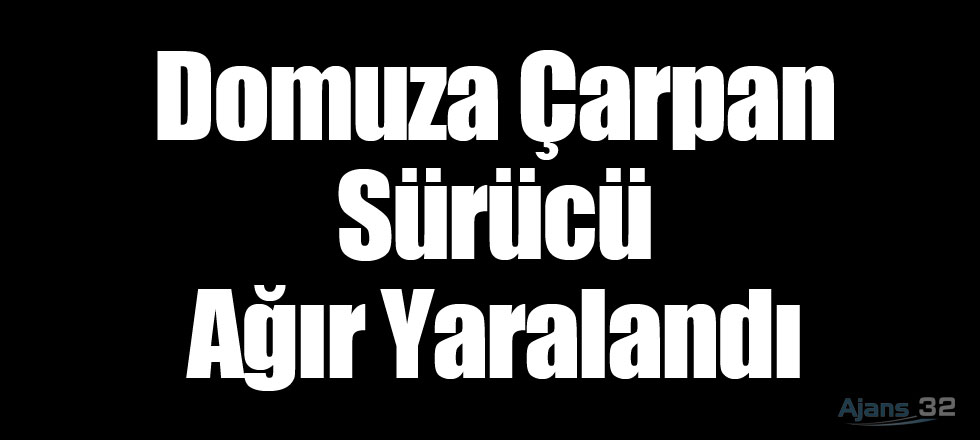 Domuza Çarpan Sürücü Ağır Yaralandı