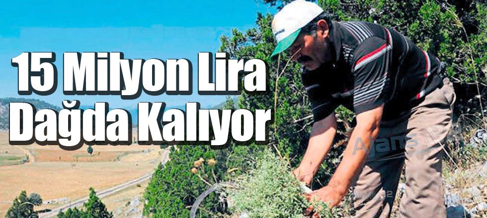 15 Milyon Lira Dağda Kalıyor