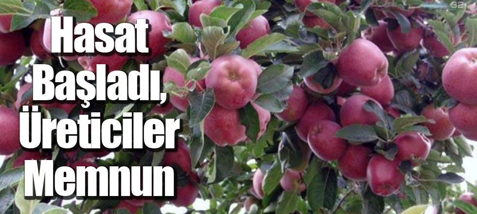 Hasat Başladı, Üreticiler Memnun