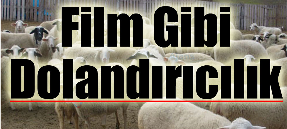 Film Gibi Dolandırıcılık