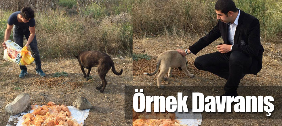 Öğrencilerden Örnek Davranış