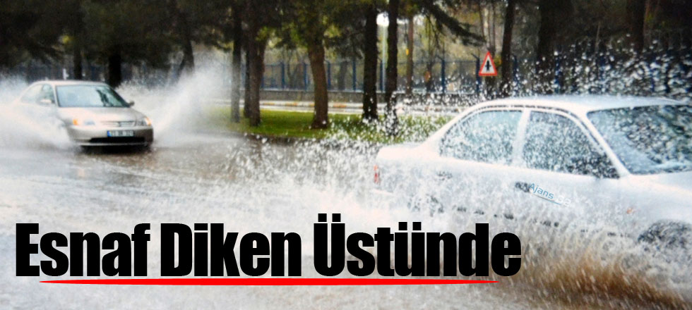 Esnaf Diken Üstünde