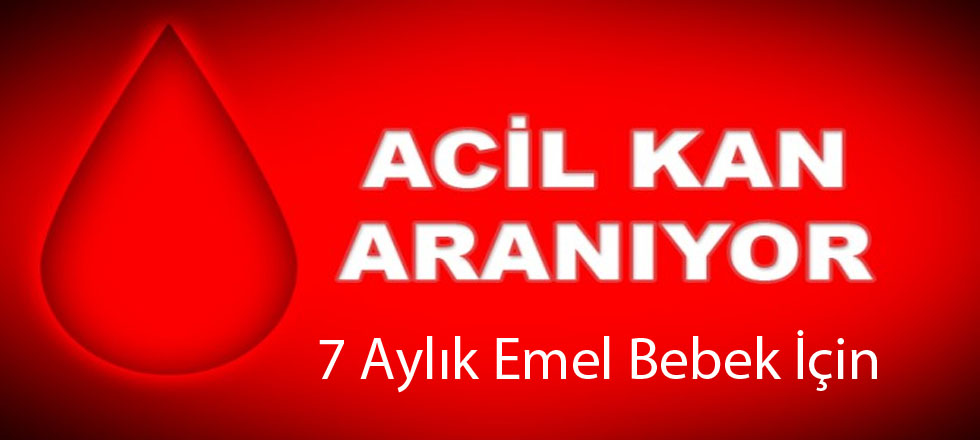 7 Aylık Bebek İçin Acil Kan Lazım!