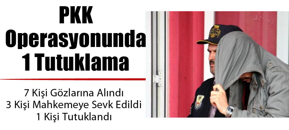 PKK Operasyonunda 1 Tutuklama