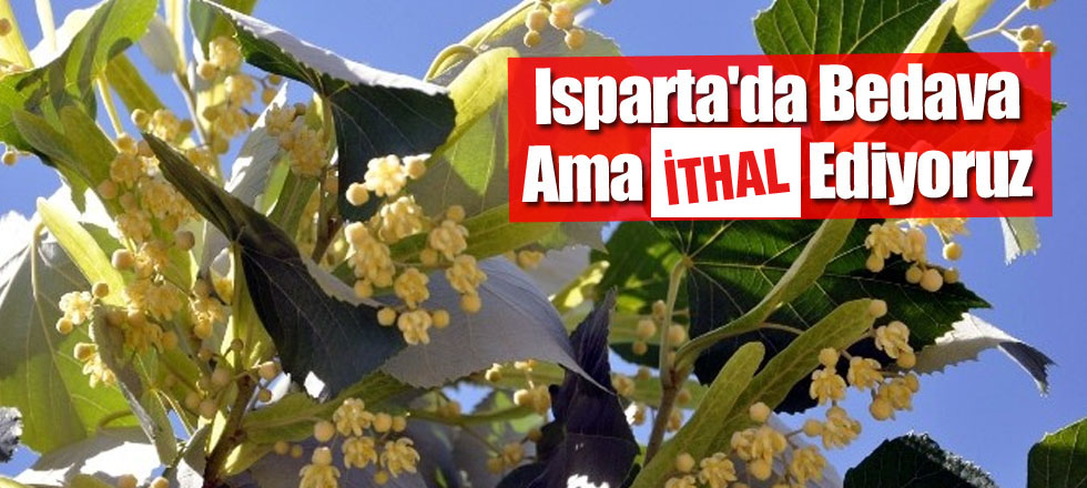 Isparta'da Bedava Ama İthal Ediyoruz