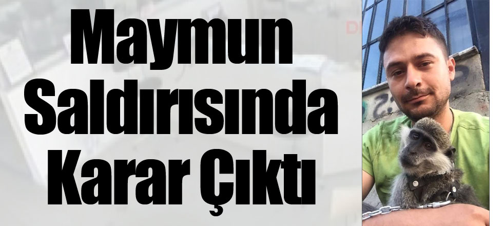 Maymun Saldırısında Karar Çıktı