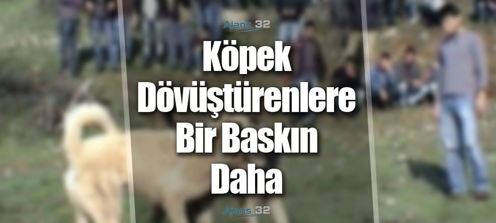 Köpek Dövüştürenlere Bir Baskın Daha