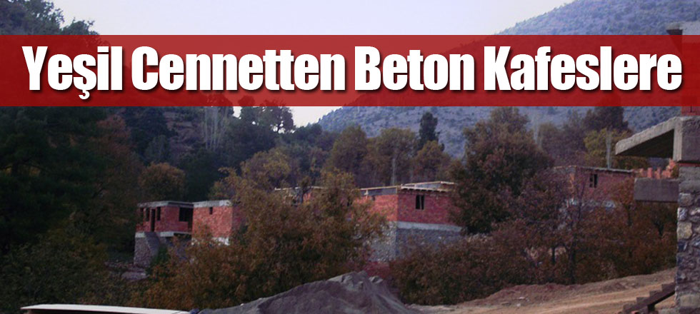Yeşil Cennetten Beton Kafeslere