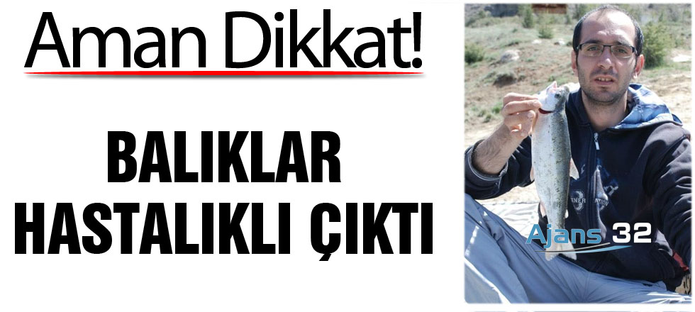 Aman Dikkat! Balıklar Hastalıklı Çıktı