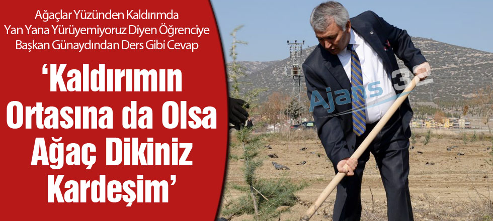 Kaldırımın Ortasına da Olsa Ağaç Dikiniz Kardeşim