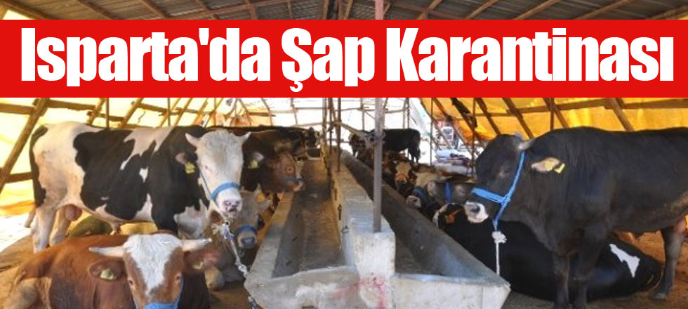 Isparta'da Şap Karantinası