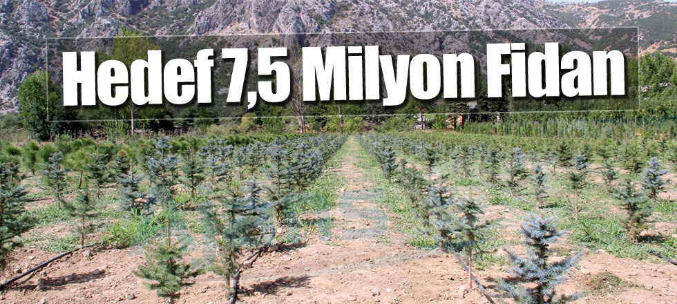 7,5 Milyon Fidan Üretimi Hedefleniyor
