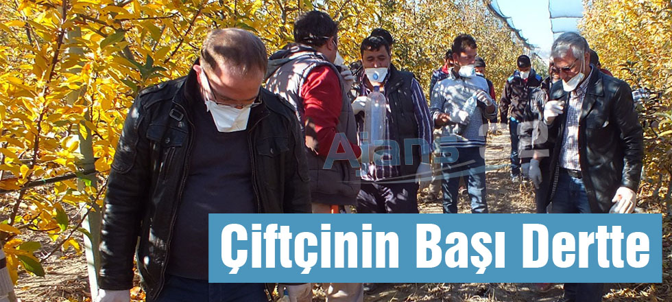 Çiftçinin Başı Dertte