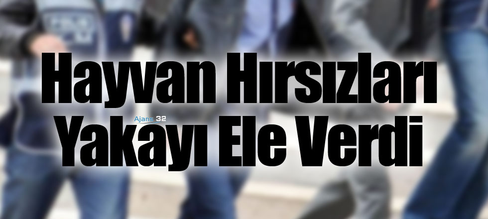 Hayvan Hırsızları Yakayı Ele Verdi