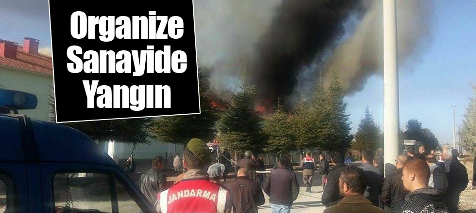Organize Sanayide Yangın