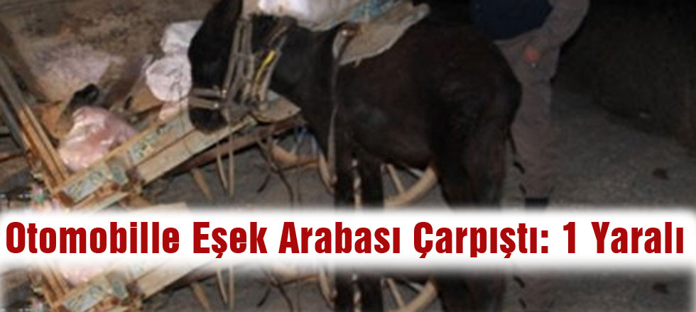 Otomobille Eşek Arabası Çarpıştı: 1 Yaralı