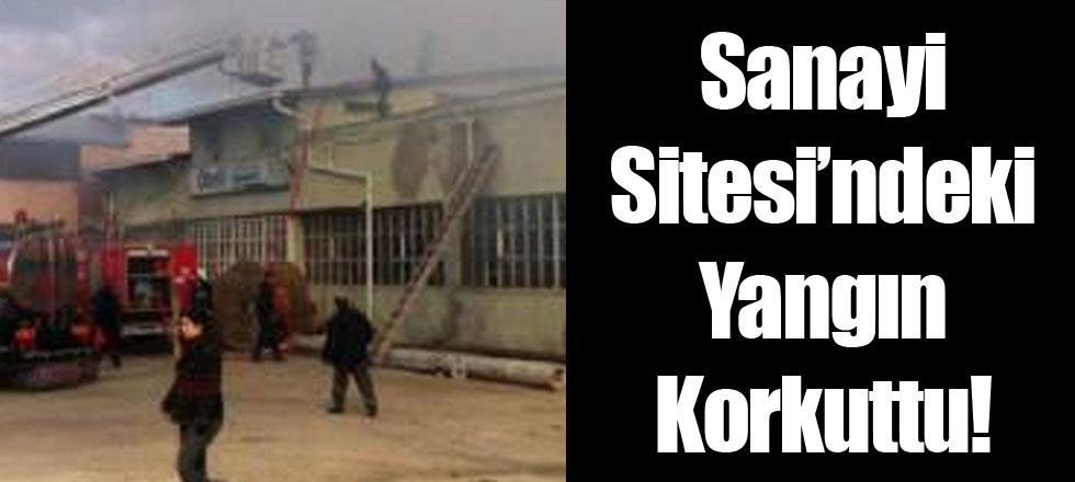 Yangın Korkuttu!