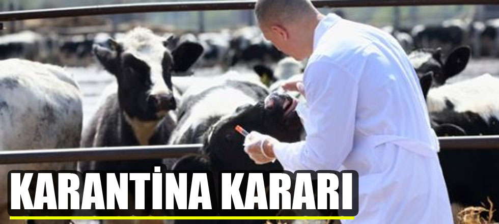 Çiçek Hastalığı Nedeniyle Karantina Kararı
