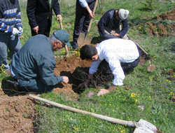 Kutlu Doğum Haftası Ormanına Fidan Dikildi