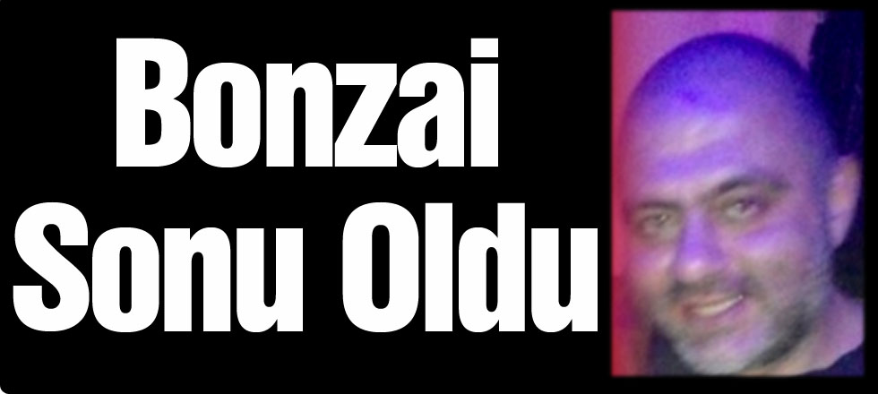 Bonzai Sonu Oldu