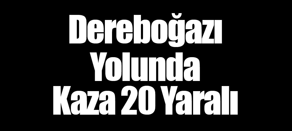 Dereboğazı Yolunda Kaza 20 Yaralı