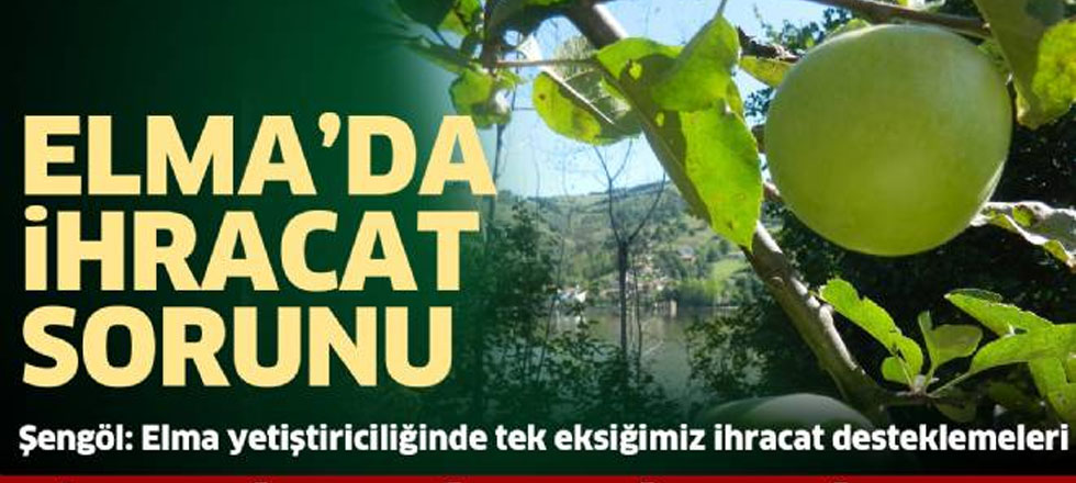 Elmada İhracat Sorunu