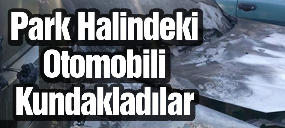 Park Halindeki Otomobili Kundakladılar