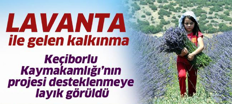 Lavanta İle Gelen Kalkınma