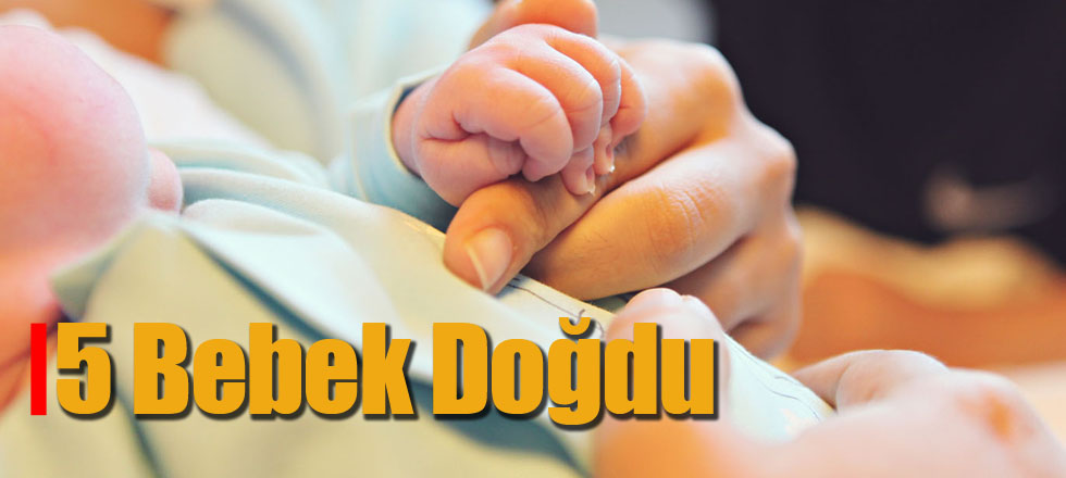 5 Bebek Doğdu