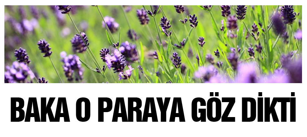 BAKA O Paraya Göz Dikti