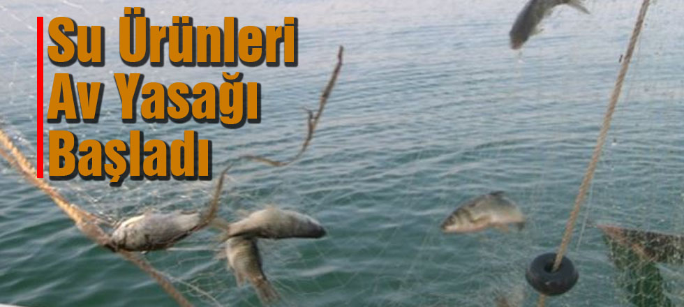Su Ürünleri Av Yasağı Başladı