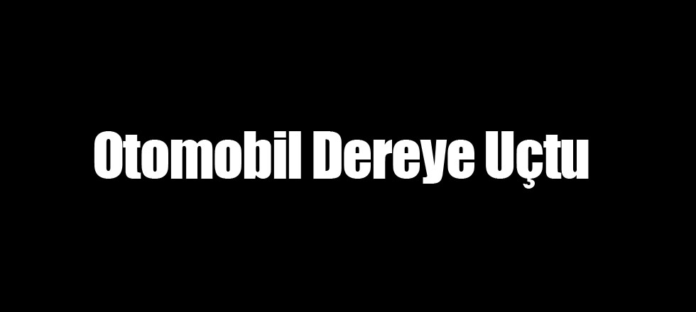 Otomobil Dereye Uçtu