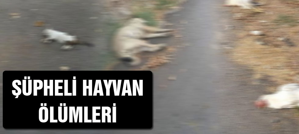 Şüpheli Hayvan Ölümleri