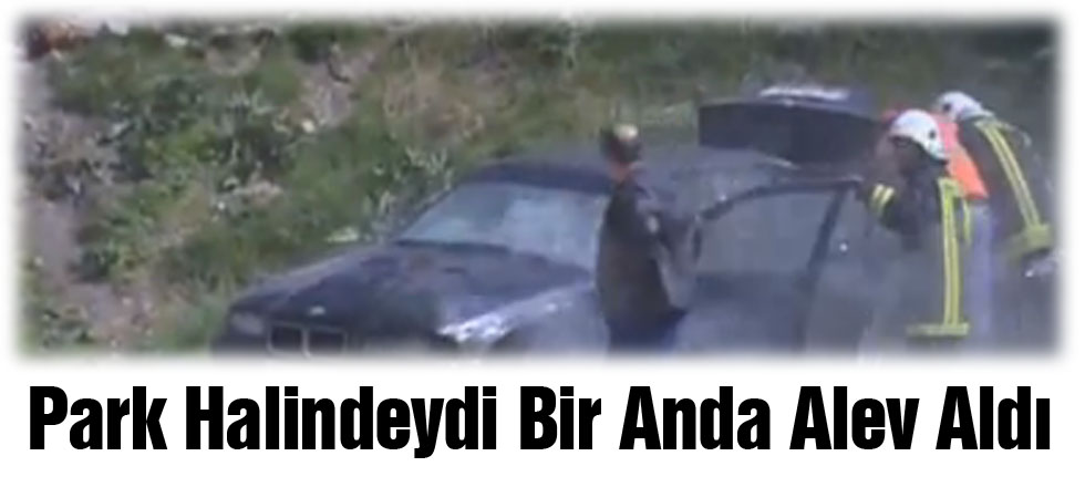 Park Halindeydi Bir Anda Alev Aldı