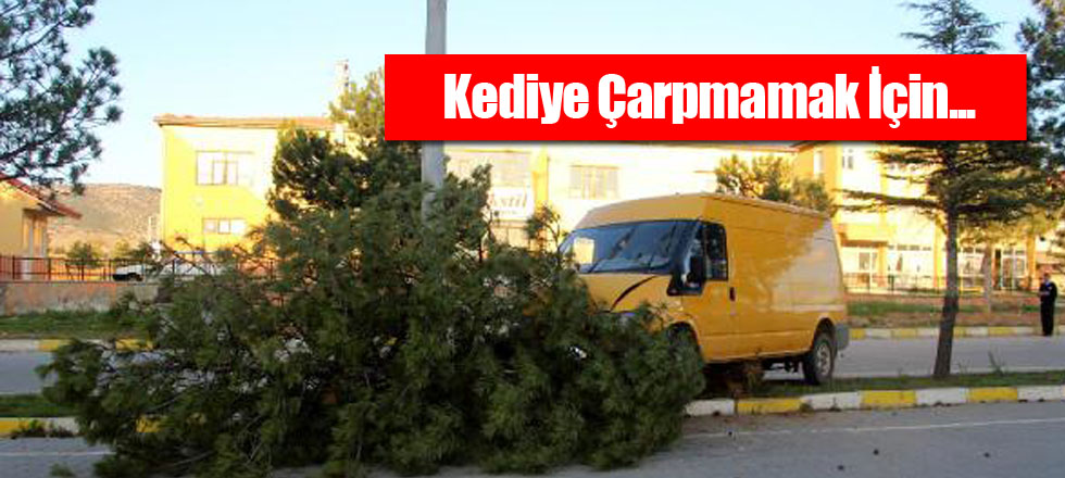 Kediye Çarpmamak İçin...