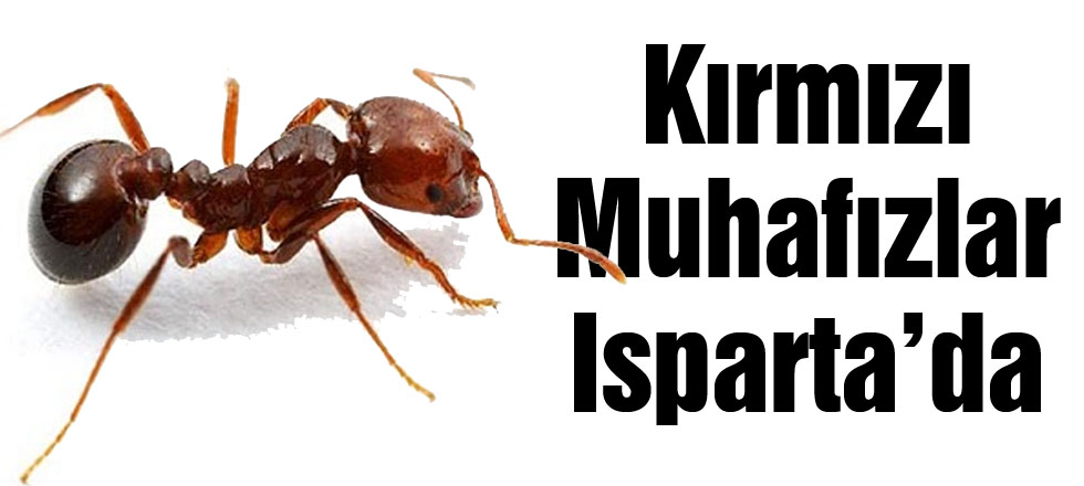 Kırmızı Muhafızlar Isparta'da