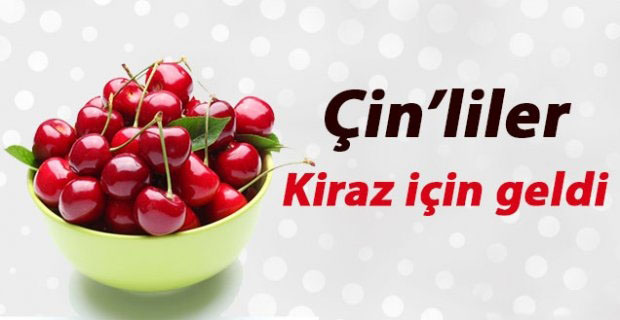 Çinliler Kiraz İçin Geldi