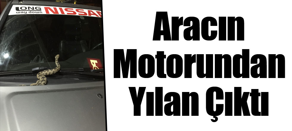 Aracın Motorundan Yılan Çıktı