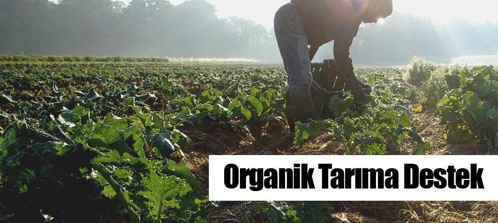 Organik Tarıma Destek