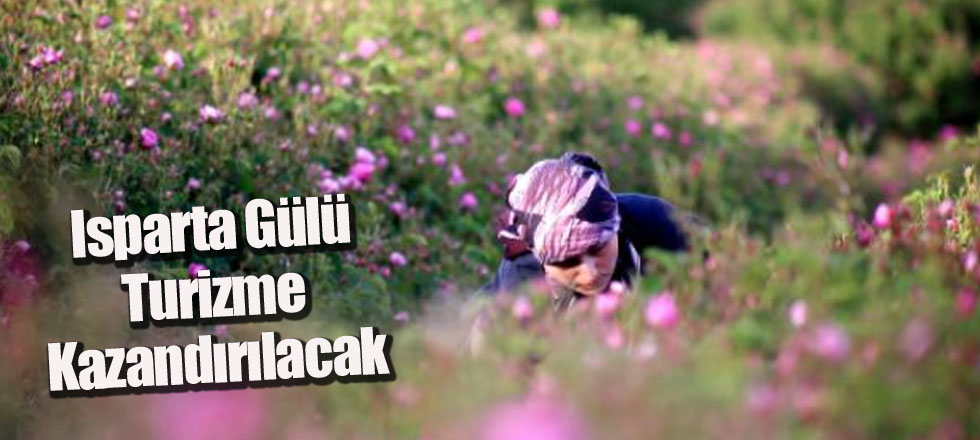 Isparta Gülü Turizme Kazandırılacak