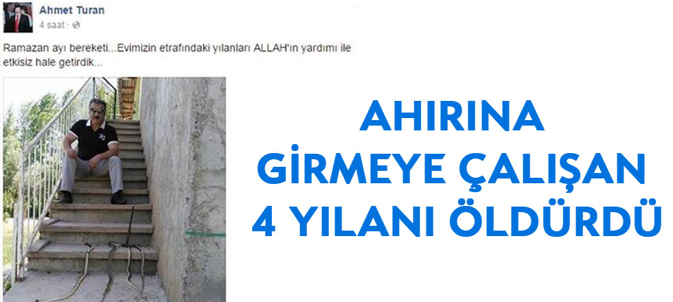 Ahırına Girmeye Çalışan 4 Yılanı Ödürdü